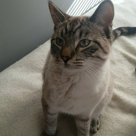 Meet Your Posher!!ππ - Picture 4 of 5